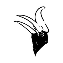 Wall Mural - Rhinoceros hornbill. Vector sketch of hand drawn bird. Linear animals art.