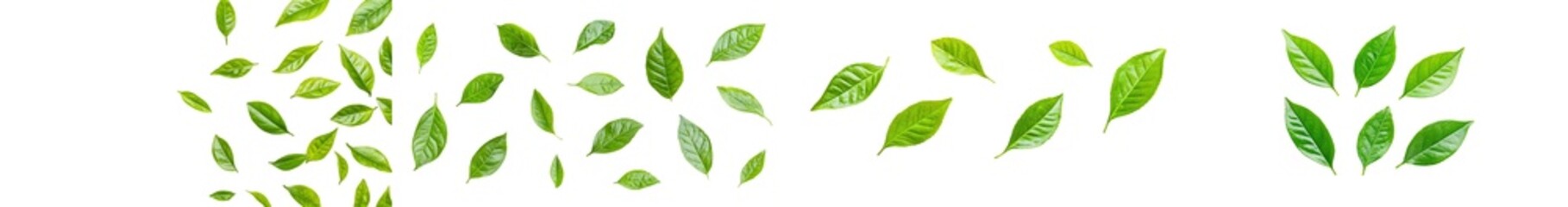 Poster - Flying green leaves isolated on white background.