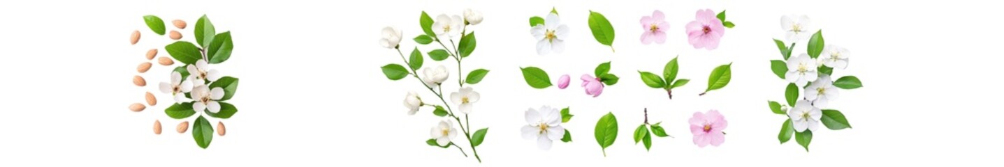 Poster - An isolated sesame on a white background, with full depth of field