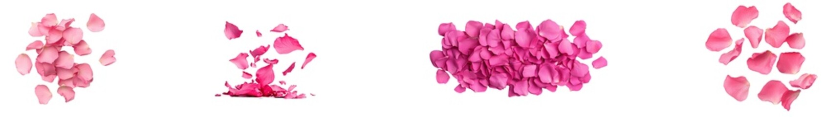 Poster - Cutout of pink petals in flight on a transparent background