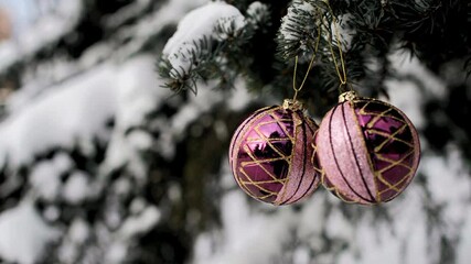 Wall Mural - Christmas tree balls on the branches of a fir tree