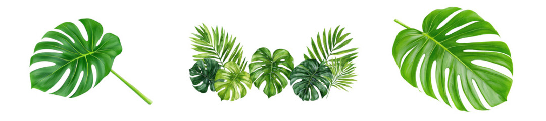 Poster - A watercolor illustration of a Monstera leaf showcasing vibrant green shades and natural botanical features, ideal for tropical designs.