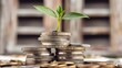© happie - Green plant growing from vintage-styled stacked coins with wooden structure background