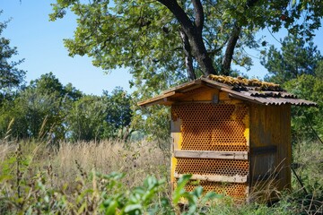 Poster - Traditional bee hive standing in a field with honeycombs exposed and bees working
