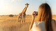 © Bonsales - Woman photographing majestic giraffe in African savanna at sunset, capturing wildlife beauty in natural habitat, photography concept