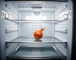 © AITOMF - An empty fridge with a single onion