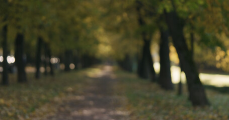 Wall Mural - Blurred background of autumn city alley in the morning
