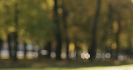Wall Mural - Blurred background of autumn city alley in the morning