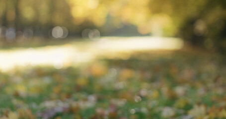 Wall Mural - Blurred background of city alley in autumn with bokeh