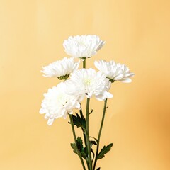 Poster - Elegant white chrysanthemum bouquet against a soft yellow background. Generative AI