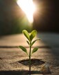 © Marko - Against All Odds - A small plant growing out of concrete, symbolizing resilience, hope, and determination