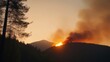 © realone952 - In the morning in the mountains, in the forest there is a small fire with smog