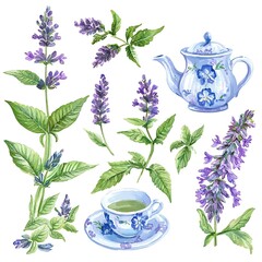 Wall Mural - Watercolor Illustration of Lavender Tea with a Teapot and Cup.