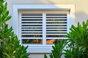 Poster - A white shuttered window is surrounded by vibrant green plants, letting in natural light on a sunny day