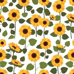 Wall Mural - detailed pattern on white background, sunflowers