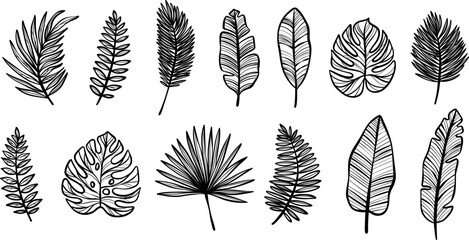Aufkleber - Tropical exotic line art leaf set, vector leaves clip art illustration, summer foliage decorative graphic element shapes isolated