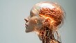 © familymedia - A transparent robotic head showcasing the brain and nerve connections, symbolizing the fusion of technology and human consciousness in a futuristic context.