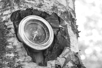 Wall Mural - classic navigation compass on natural background