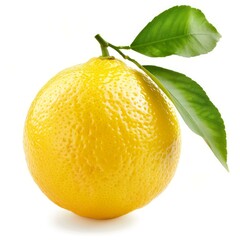 Poster - Ripe yellow lemon with leaf growing on branch on a white background