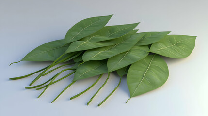 Wall Mural - a pile of fresh green leaves with stems on a white background.