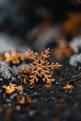 Poster - A detailed image of a single snowflake sitting on a rock
