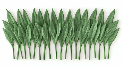 Poster - A row of green leaves, arranged horizontally against a white background.