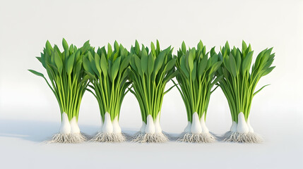 Wall Mural - a row of six green plants with white roots on a white background.