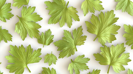 Wall Mural - a scattering of fresh green parsley leaves on a white background.