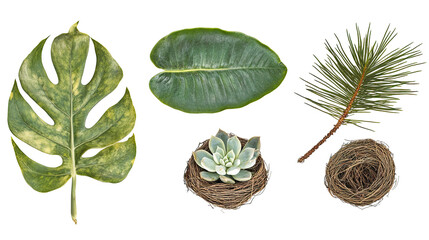 Poster - Monstera Rubber and Ferns Generative AI