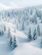 © JOE'S SAFARI - A serene winter landscape depicting a dense forest of evergreen trees blanketed in fresh, powdery snow, creating a tranquil and picturesque scene.