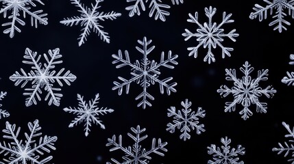 Poster - A stunning array of crystal clear snowflakes on a dark backdrop, showcasing unique shapes and intricate patterns.