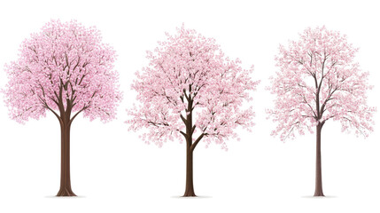 Poster - blooming pink sakura trees in a serene spring setting generative ai