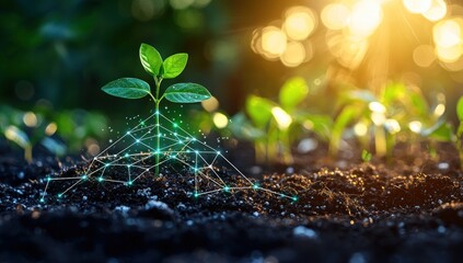 Poster - A young green sprout growing in rich soil with glowing lines depicting a digital network.