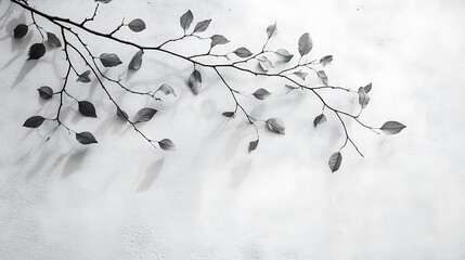 Poster - Abstract natural leaves shadow background of tree branch falling on white concrete wall texture for background, black and white monochrome tone