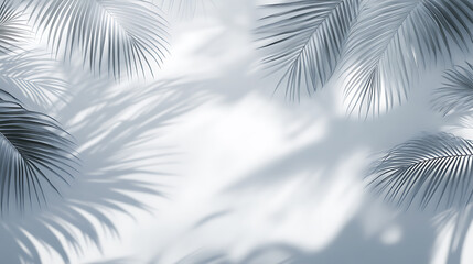 Aufkleber - Grey shadow of natural palm leaf abstract background falling on white wall texture for background and wallpaper, Tropical palm leaves foliage shadow overlay effect, foliage mockup and design