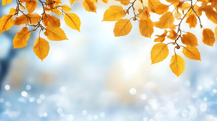 Poster - Close-up of yellow leaves on a tree branch against a blurred white and blue autumn background