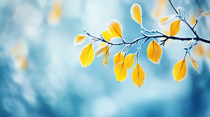 Aufkleber - Close-up of yellow leaves on a tree branch against a blurred white and blue autumn background