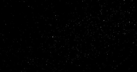 Wall Mural - Natural Organic Dust Particles Floating On Black Background. Dynamic Dust Particles Randomly Float In Space. Shimmering Glittering Dust Particles With Bokeh. Slow motion on Black Background.