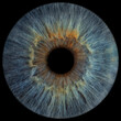 © hady - A macro close-up of a human iris in shades of blue-green with a vivid yellow center, set against black background. The image highlights the rich colors and intricate patterns within the iris.