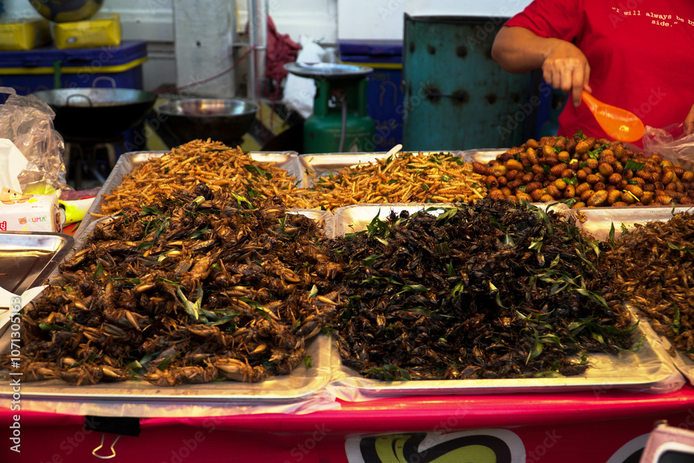 Fried insects: a popular and famous street food in Thailand, known for ...