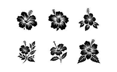 Hibiscus flower black white silhouette