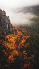 Wall Mural - Autumn forest in Sierra de Francia with vibrant foliage along a misty winding road