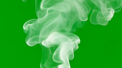 Wall Mural - smoke on green screen