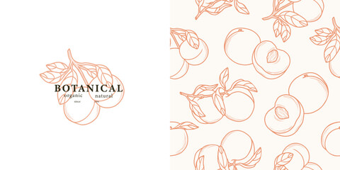 Line art peach fruit seamless pattern and logo
