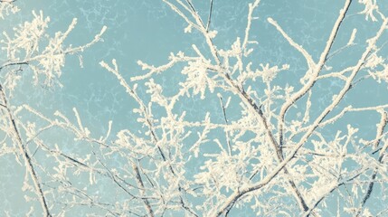 Poster - A frosty tree branch against a light blue sky. The delicate white frost creates a beautiful wintery scene.