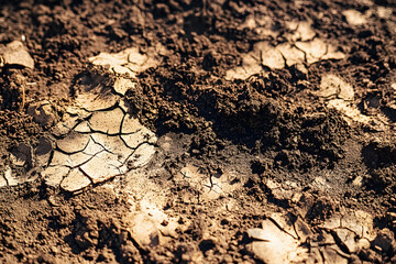 Canvas Print - Close-up of dry barren soil