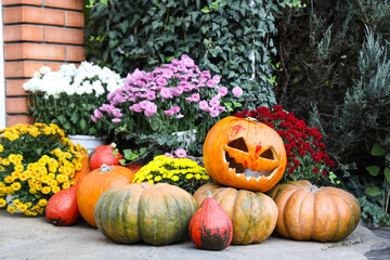 Wall Mural - Bouquets of autumn flowers with Halloween pumpkins on ground outdoors