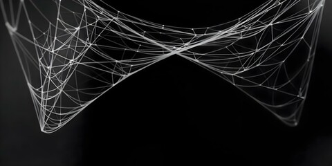 Intricate white spider web against a dark background.