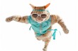 © Adobe Contributor - Cat wearing sunglasses and a blue vest