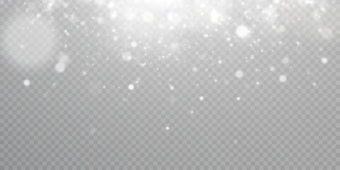 Poster - Winter background with snowstorm effect and snowflakes. Vector texture of cold Christmas snowstorm with snowflakes on transparent background.